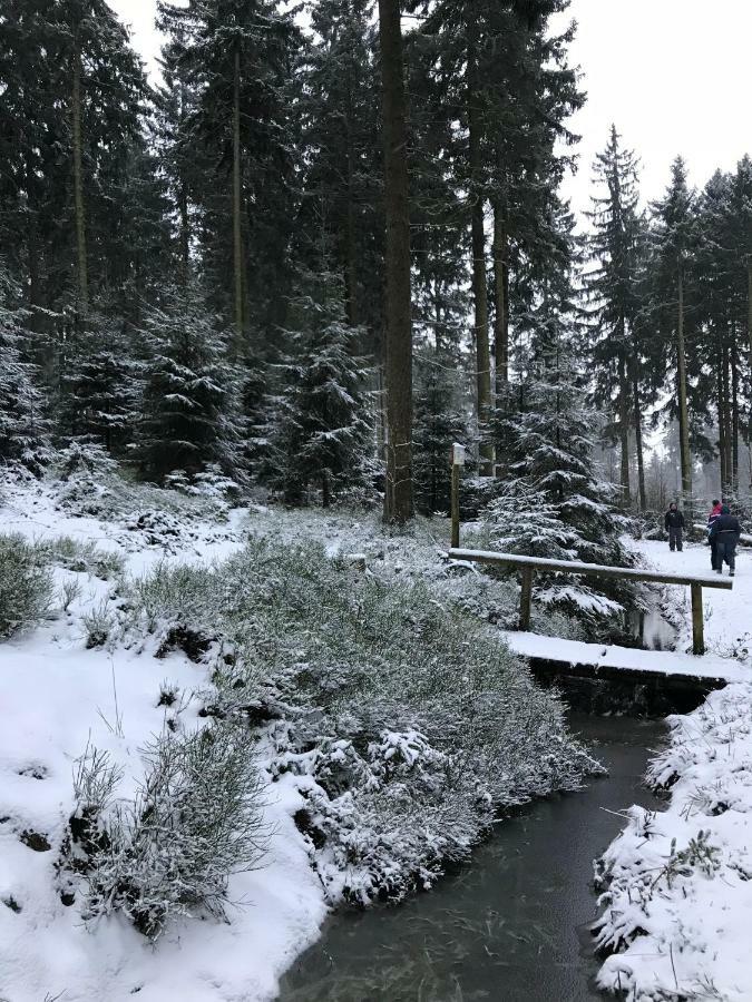Hahnenklee Ferienpark 7-511 ゴスラー エクステリア 写真