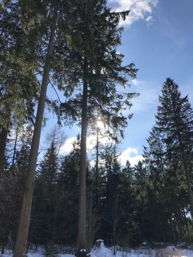 Hahnenklee Ferienpark 7-511 ゴスラー エクステリア 写真