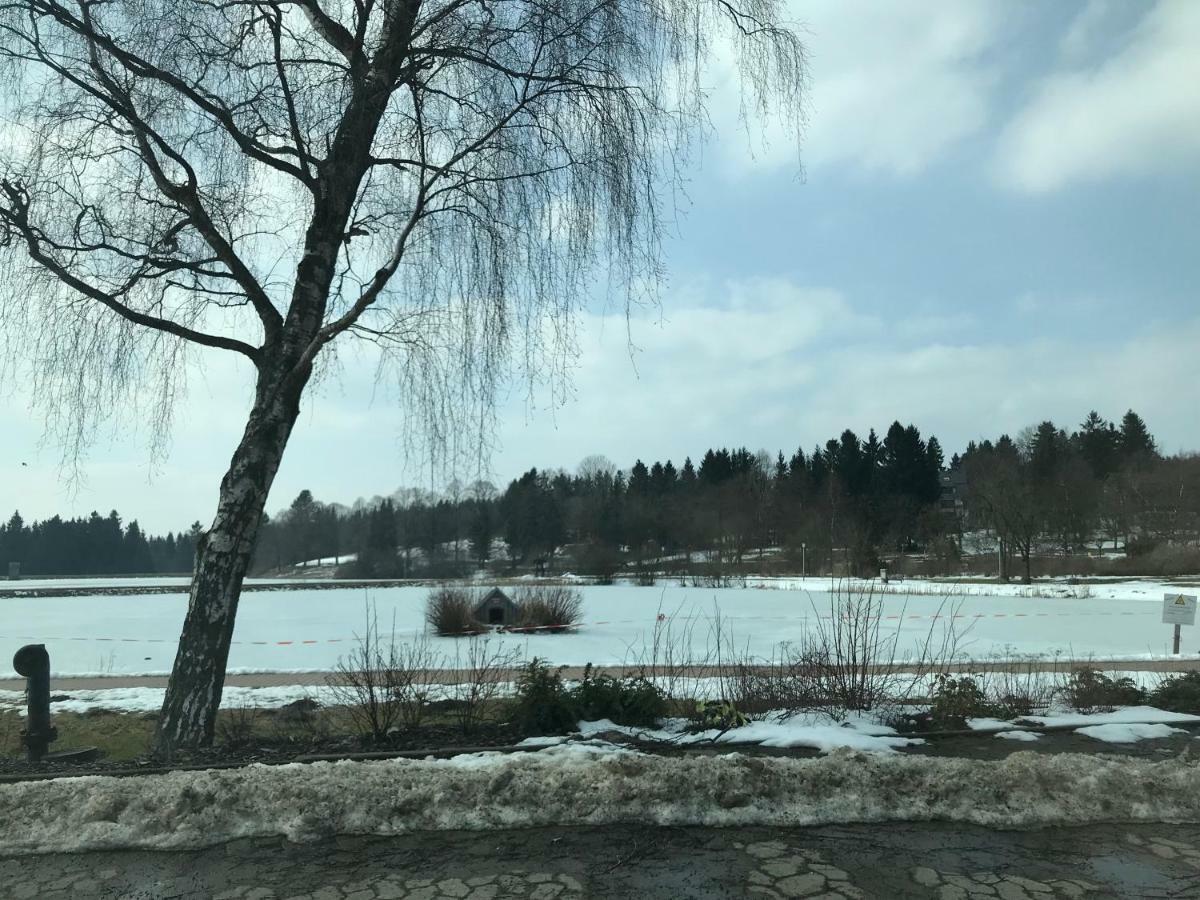 Hahnenklee Ferienpark 7-511 ゴスラー エクステリア 写真
