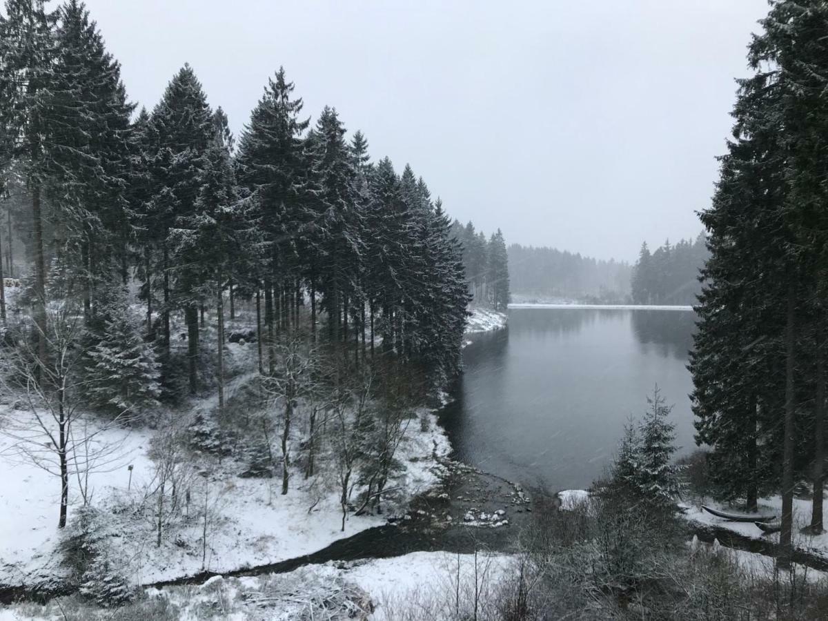 Hahnenklee Ferienpark 7-511 ゴスラー エクステリア 写真